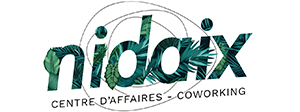 NIDAIX logo