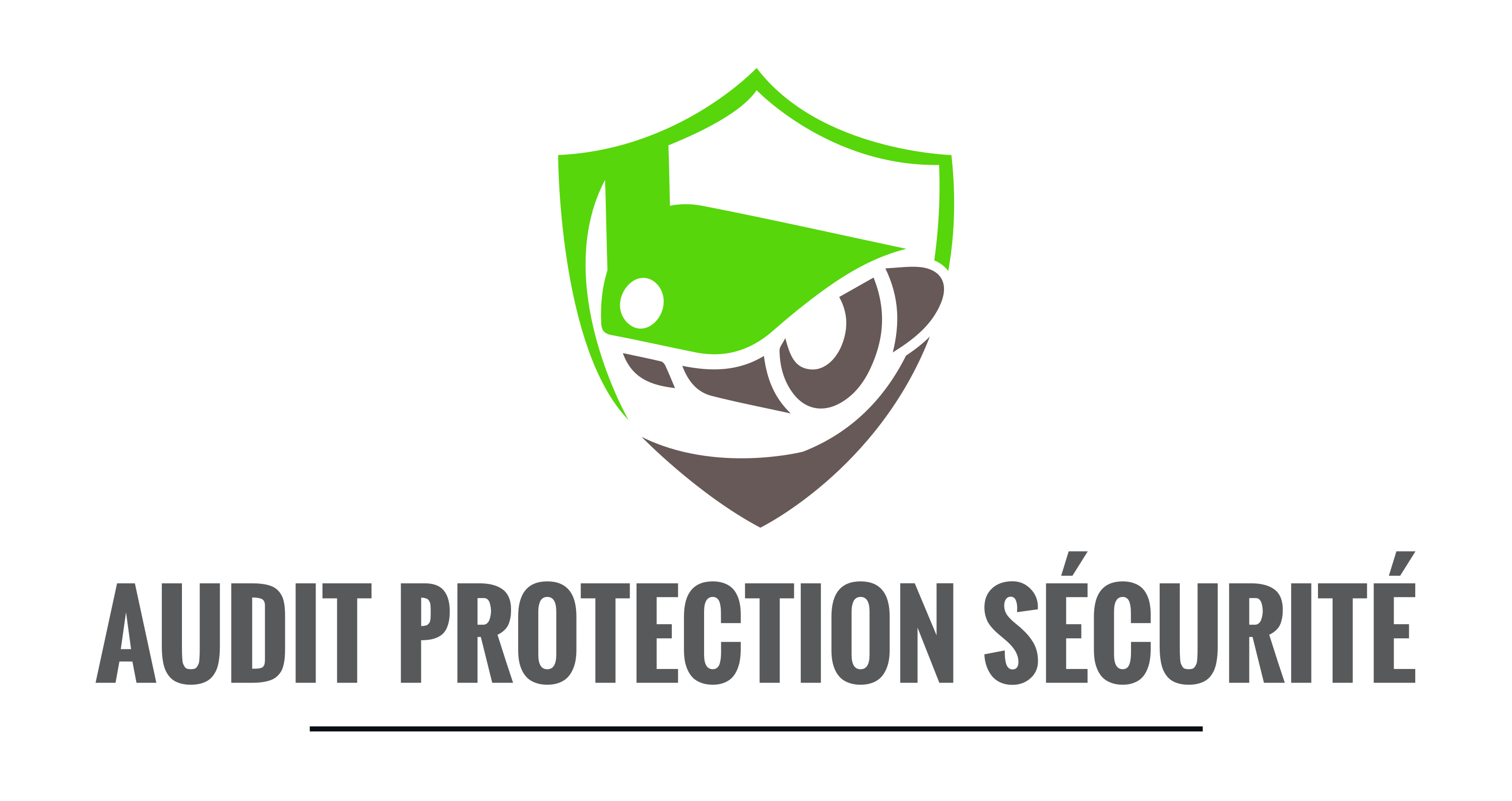 AUDIT PROTECTION SECURITE logo